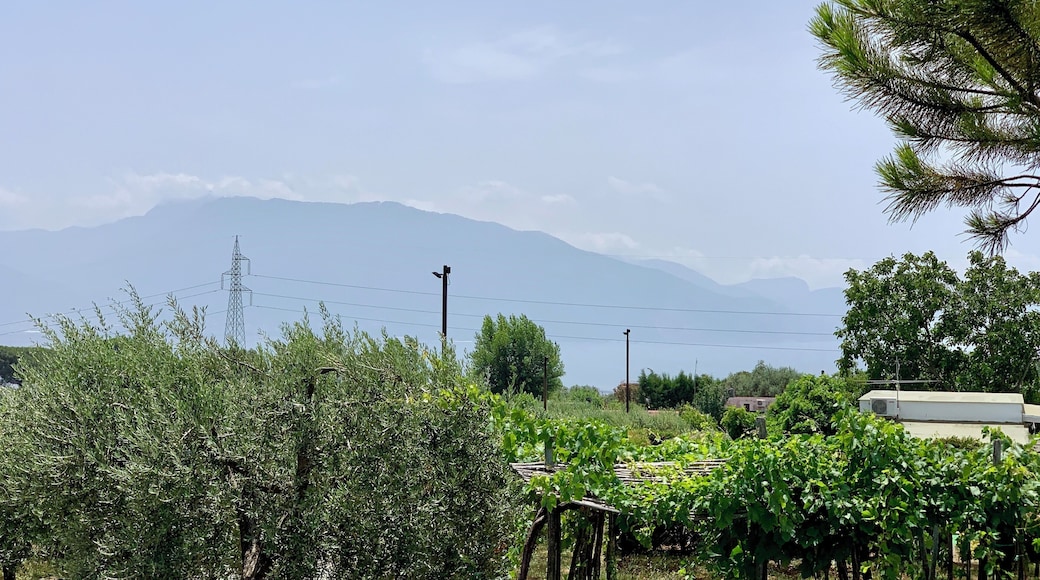 Great time walking around drinking wine and eating at Villa Tirone today...