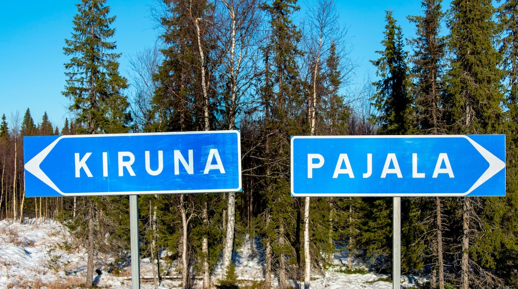 Direction Sign on Swedish County Road 395 in Lapland