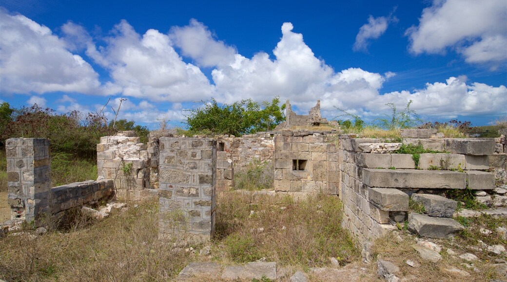 Betty\'s Hope Sugar Plantation featuring a ruin