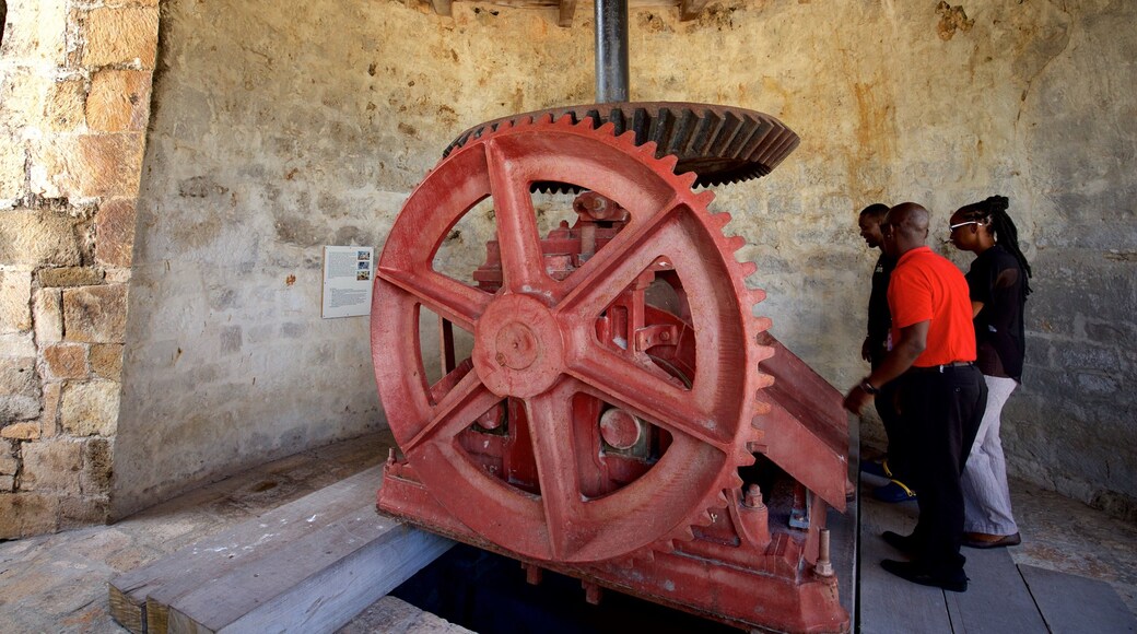 貝蒂斯霍普糖料種植園 其中包括 內部景觀 和 傳統元素 以及 一小群人