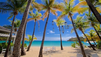 Antígua que inclui cenas tropicais, paisagens litorâneas e uma praia