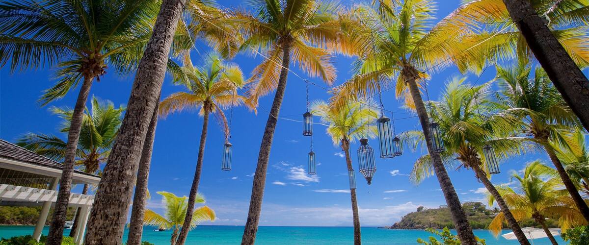 A beach with palm trees, white chairs, and hanging lanterns.