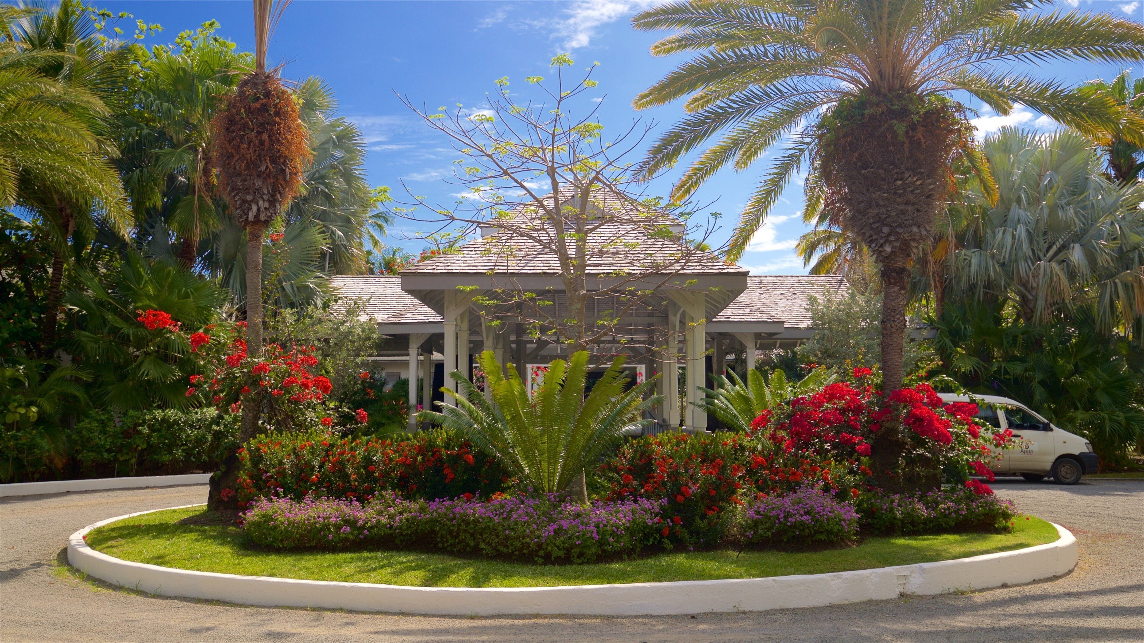 Plage de Carlisle mettant en vedette fleurs sauvages