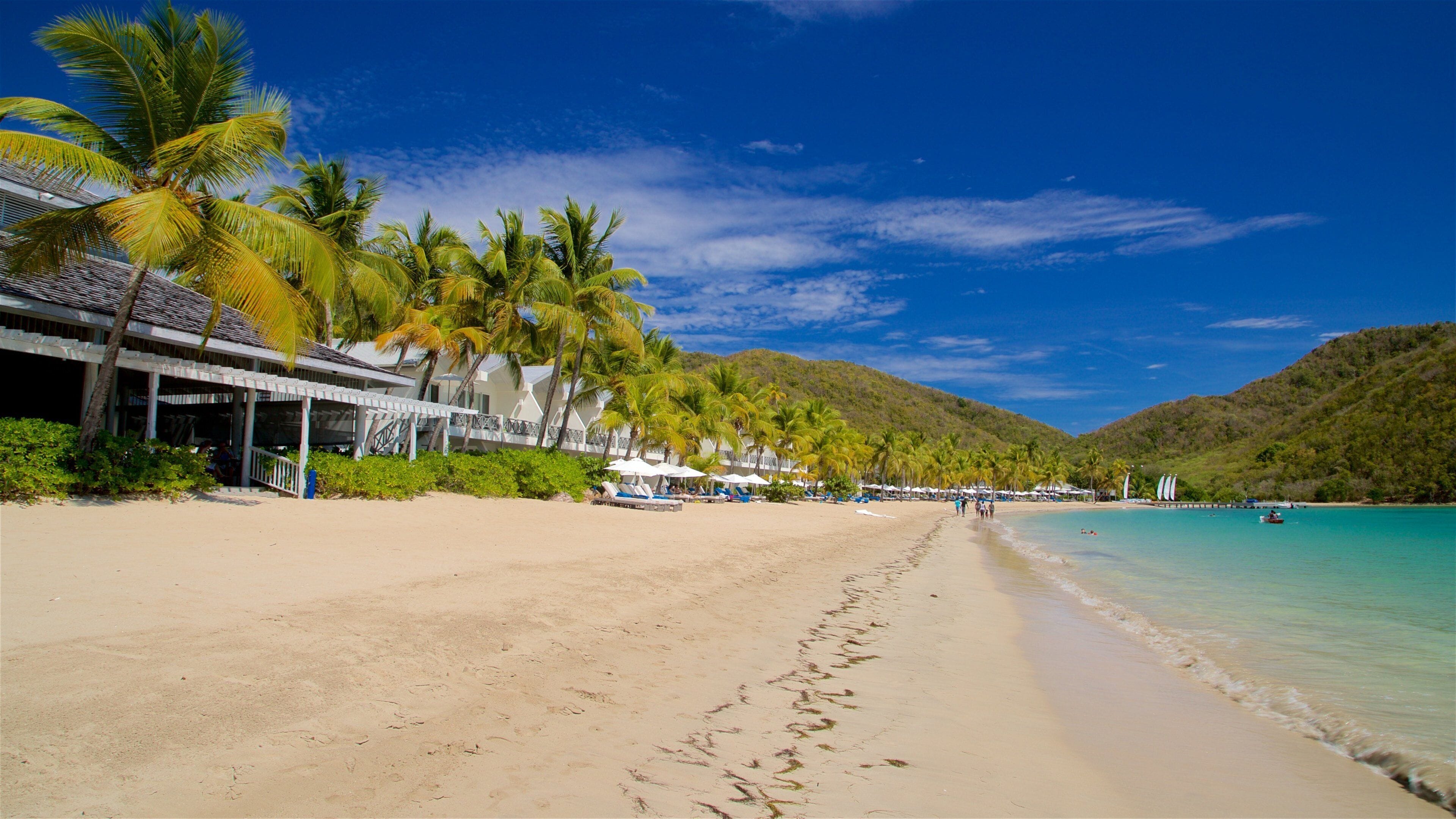 Carlisle Bay Beach showing general coastal views, a beach and tropical scenes