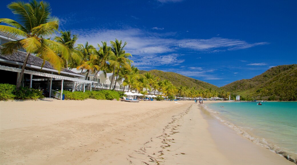 Carlisle Bay Beach showing general coastal views, a beach and tropical scenes