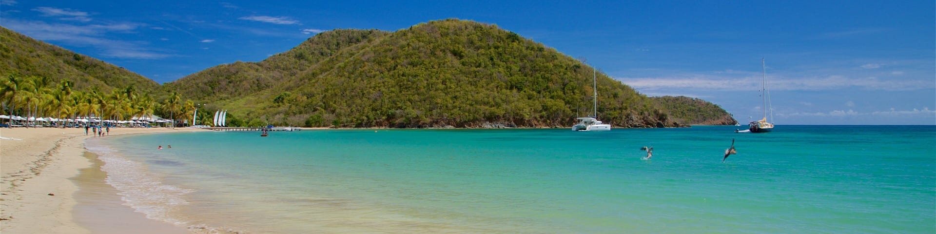 Carlisle Beach which includes a sandy beach and general coastal views