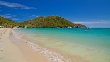 Una playa con agua turquesa cristalina, una orilla arenosa y una colina con vegetación densa al fondo.
