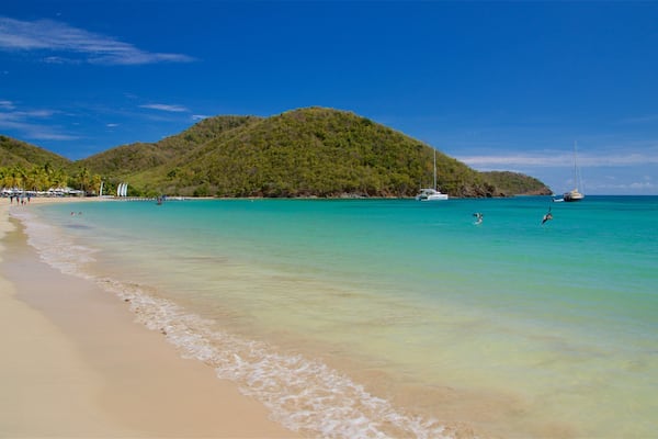 Carlisle Beach which includes a sandy beach and general coastal views