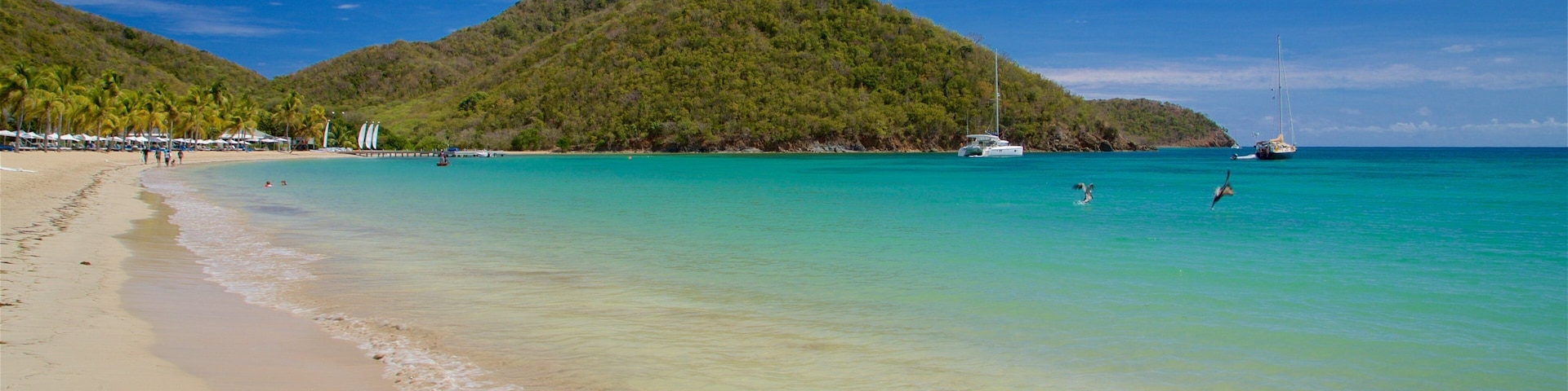Carlisle Beach caracterizando paisagens litorâneas e uma praia