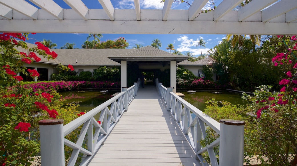 Carlisle Beach which includes a pond, a bridge and wildflowers