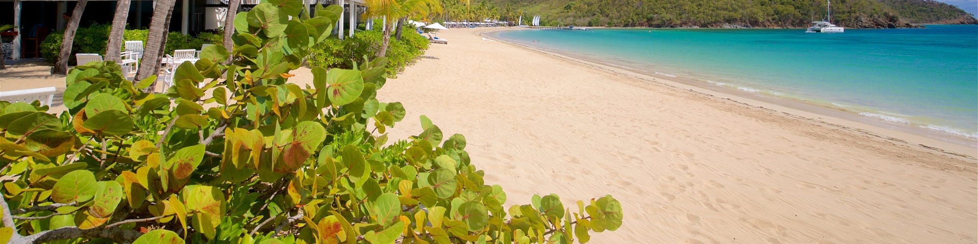 Antígua que inclui cenas tropicais, uma praia e paisagens litorâneas