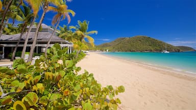 Antigua featuring tropical scenes, a beach and general coastal views
