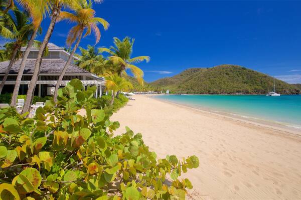 Antigua qui includes scĂšnes tropicales, vues littorales et plage