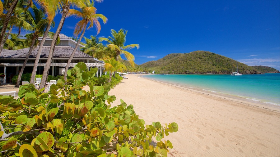 Antigua featuring a sandy beach, general coastal views and tropical scenes