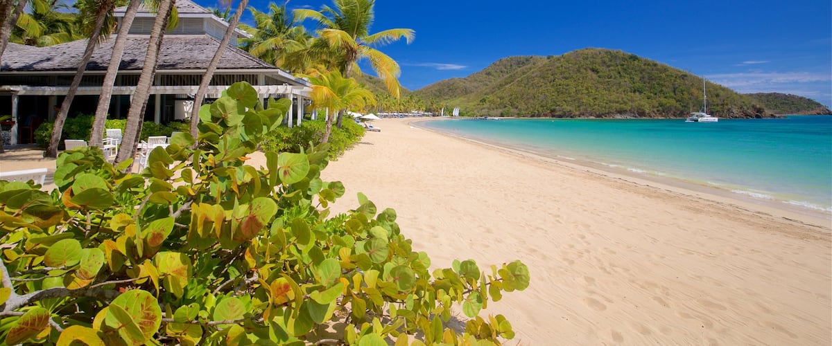 A beach with a white building, palm trees, and a boat in the water.