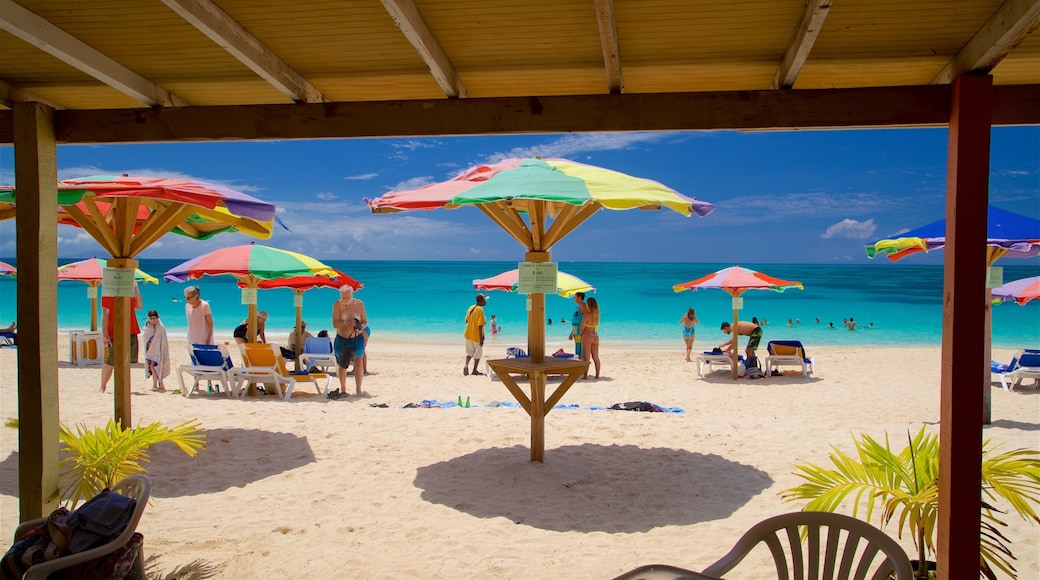 Darkwood Beach which includes a beach, tropical scenes and general coastal views
