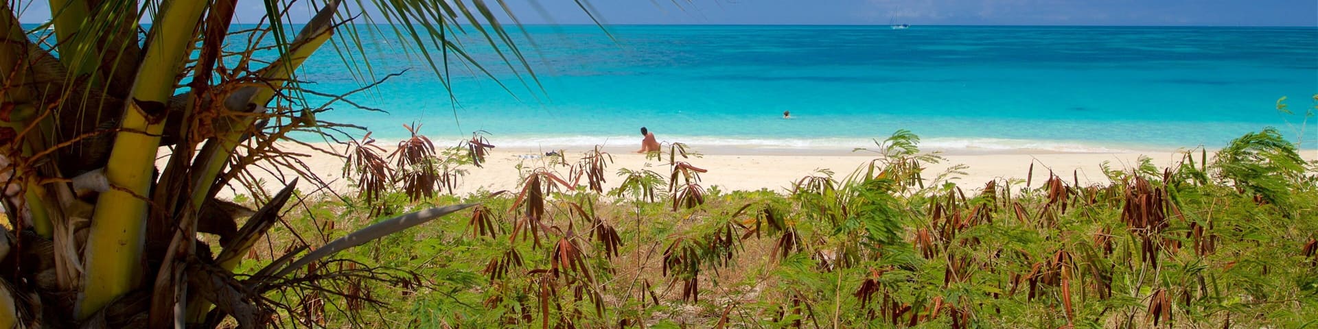Plage de Darkwood mettant en vedette une plage de sable et paysages cĂŽtiers
