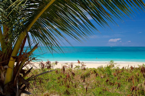 Darkwood Beach which includes a beach and general coastal views