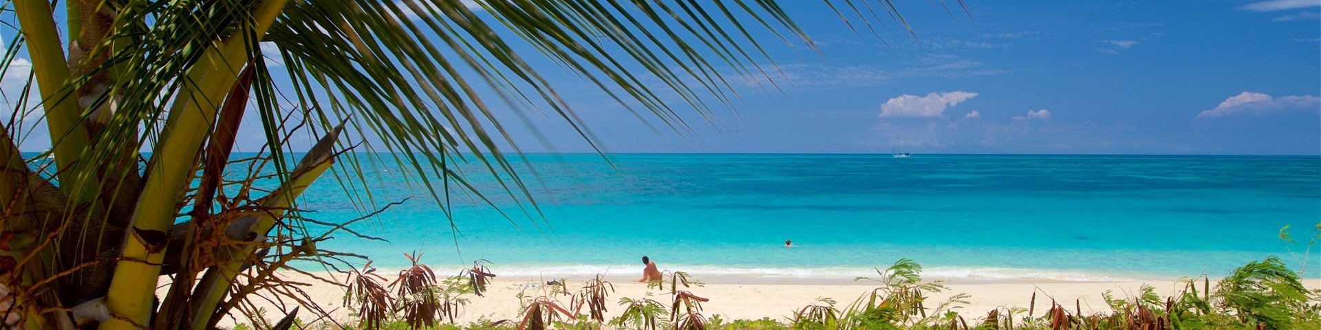 Darkwood Beach which includes a beach and general coastal views