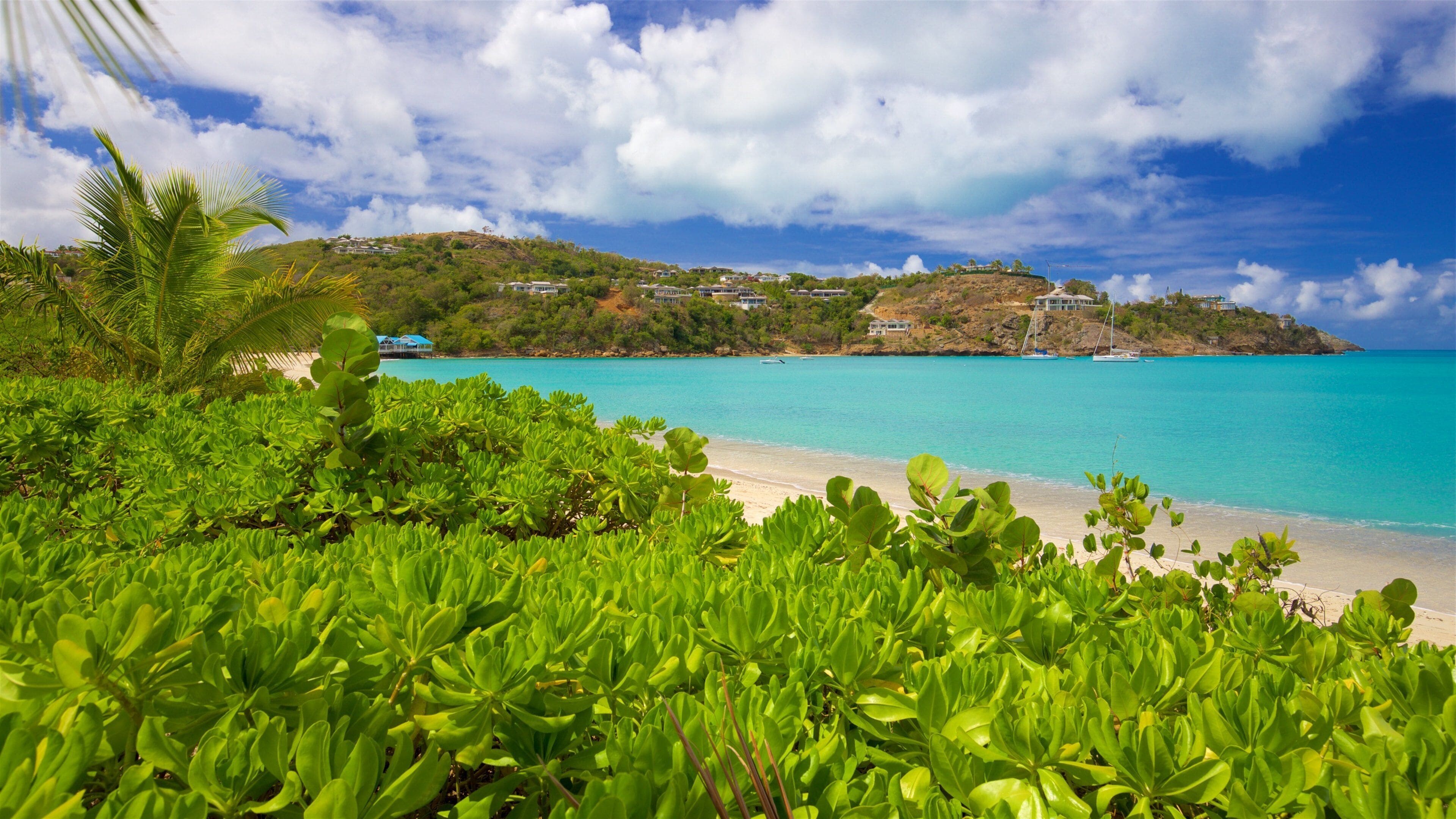 Deep Bay Beach featuring general coastal views and a sandy beach