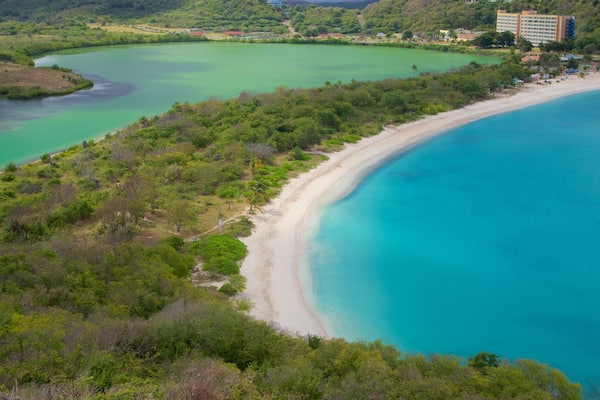 Fort Barrington mostrando vistas generales de la costa