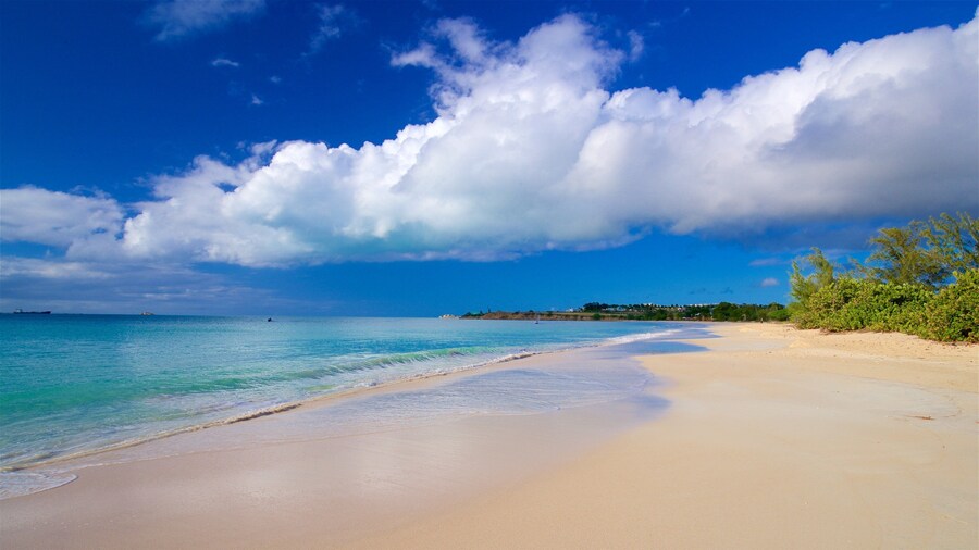 Fort Bay Beach bevat algemene kustgezichten en een zandstrand