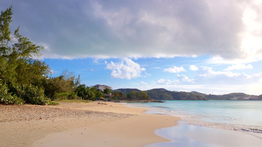 Fort Bay Beach which includes a sandy beach and general coastal views