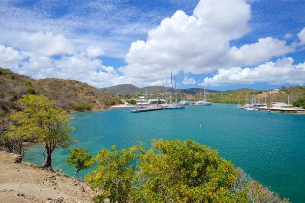 Fort Berkeley que incluye una bahía o un puerto