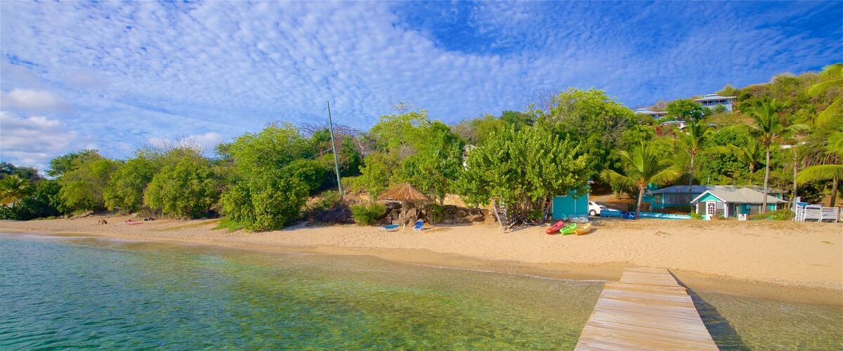 Galleon Beach which includes general coastal views, tropical scenes and a sandy beach