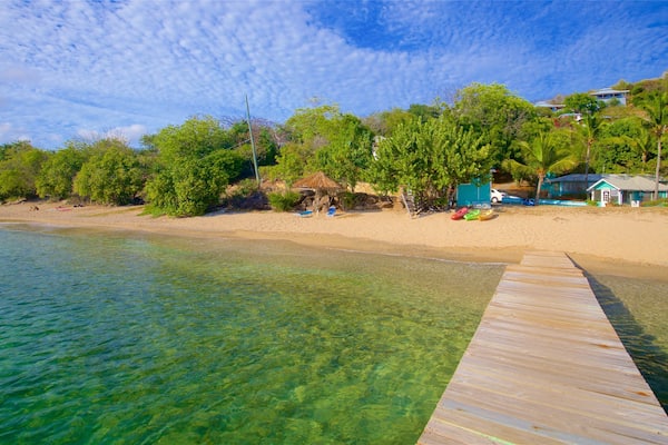 Galleon Beach mettant en vedette plage, vues littorales et scĂšnes tropicales