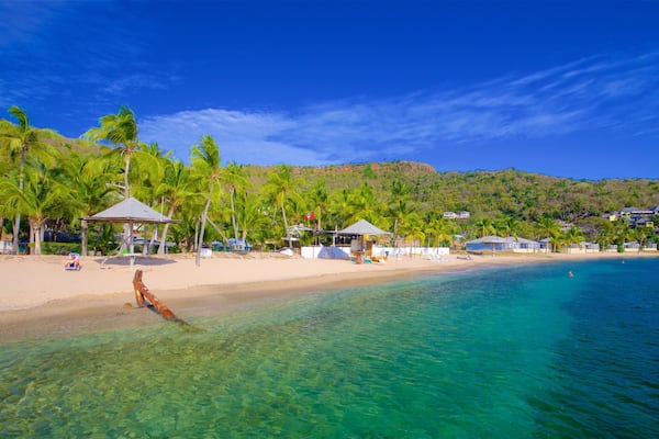 Galleon Beach showing general coastal views, tropical scenes and a sandy beach