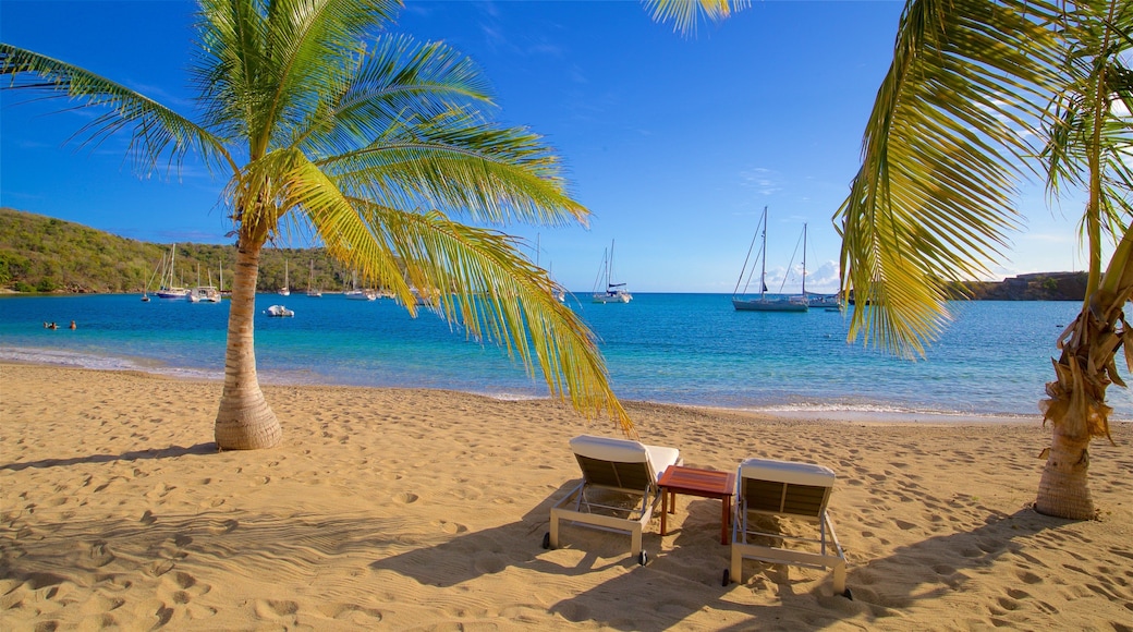 Galleon Beach mostrando vistas generales de la costa, una playa y escenas tropicales