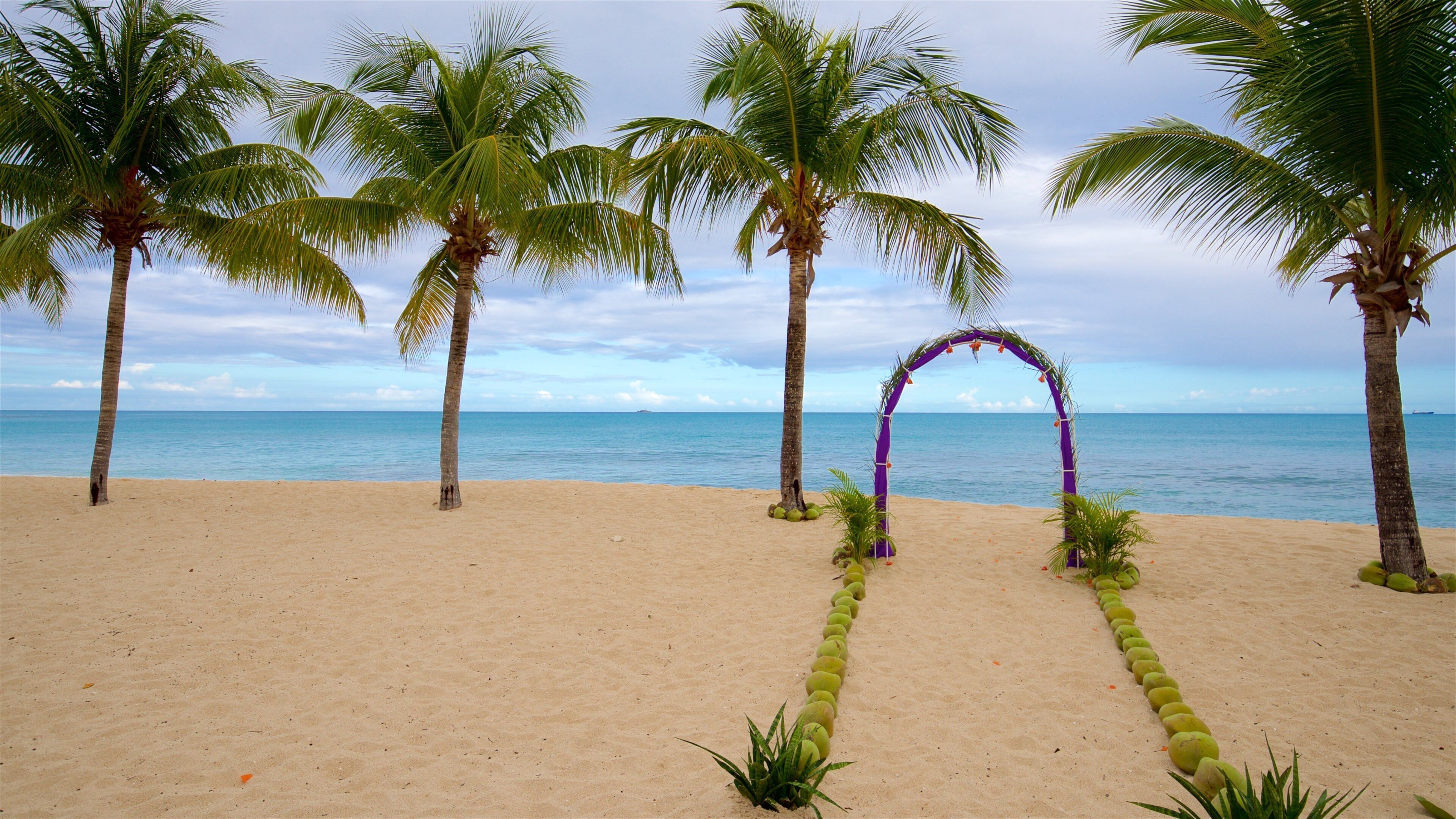 Galley Bay que inclui cenas tropicais, paisagens litorâneas e uma praia