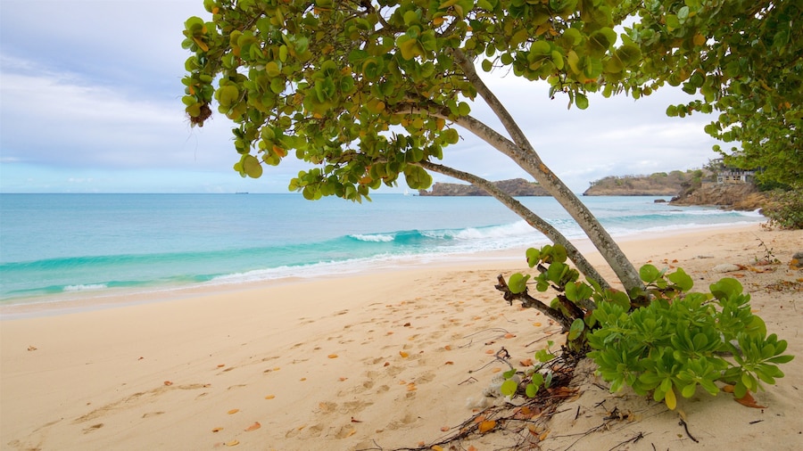 Galley Bay featuring general coastal views, tropical scenes and a sandy beach