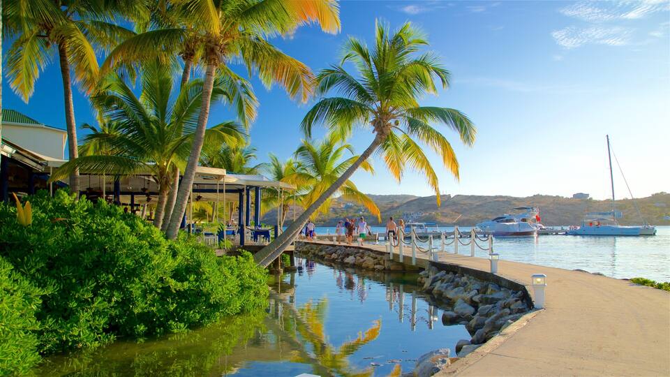 A coastal scene with palm trees, a pier, and boats.