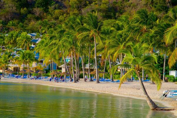 A beach with palm trees, blue lounge chairs, and a hotel in the background.