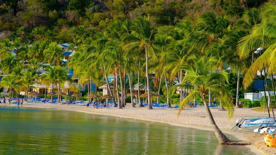 A beach with palm trees, blue lounge chairs, and a hotel in the background.