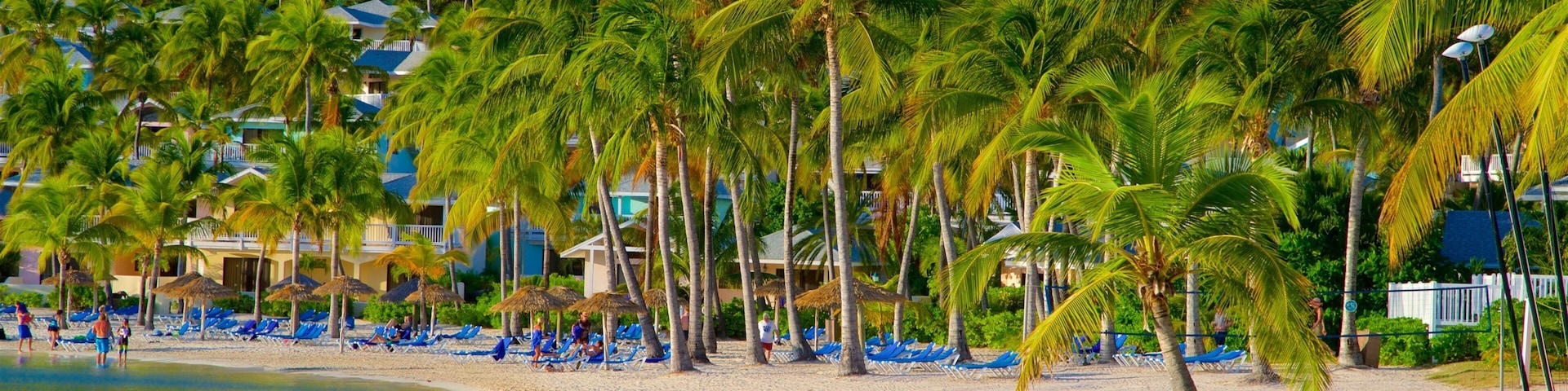 Mamora Bay featuring tropical scenes, general coastal views and a sandy beach