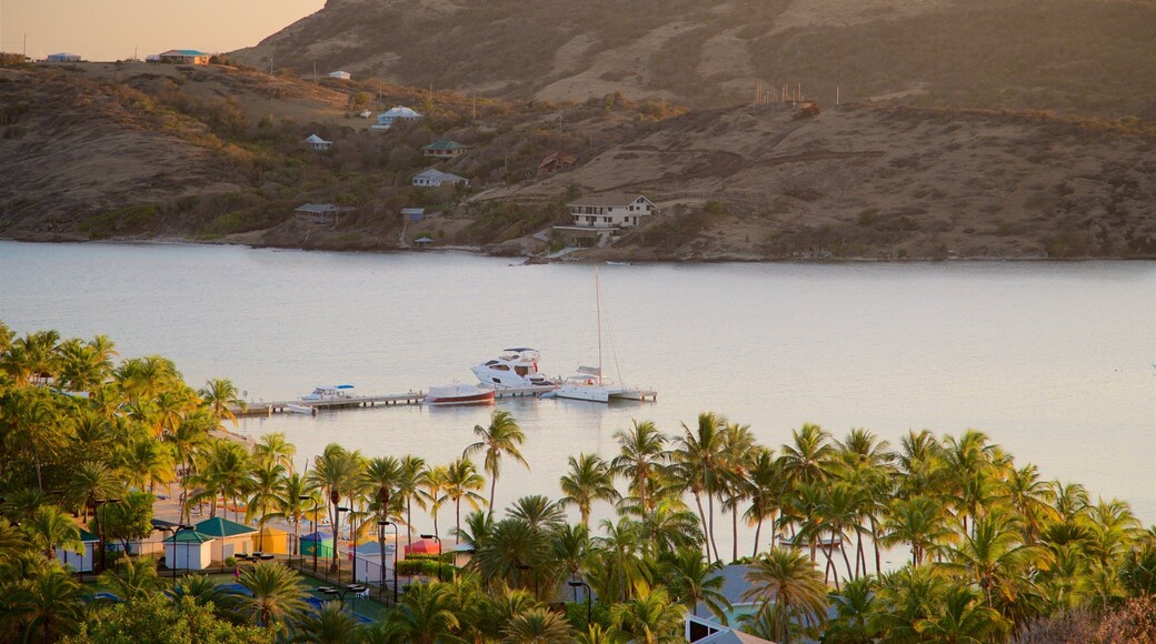 ๋ง๋ชจ๋ผ ๋ฒ ์ด ์ด ํฌํจ ์ผ๋ชฐ, ์์ด๋ ํ๊ฒฝ ๊ณผ ํญ๊ตฌ ๋๋ ํญ๋ง