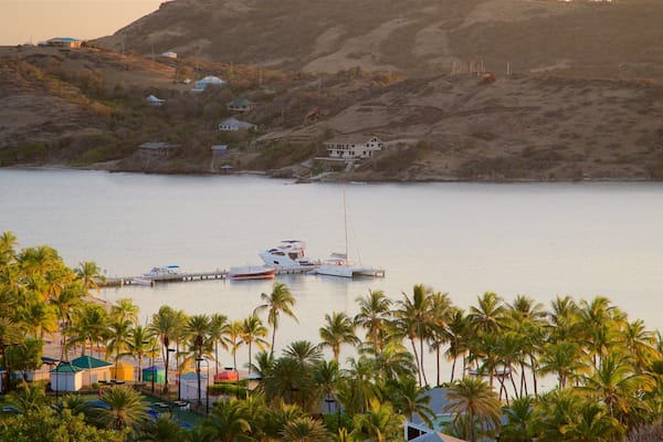 A coastal area with a marina, palm trees, and houses on a hillside.