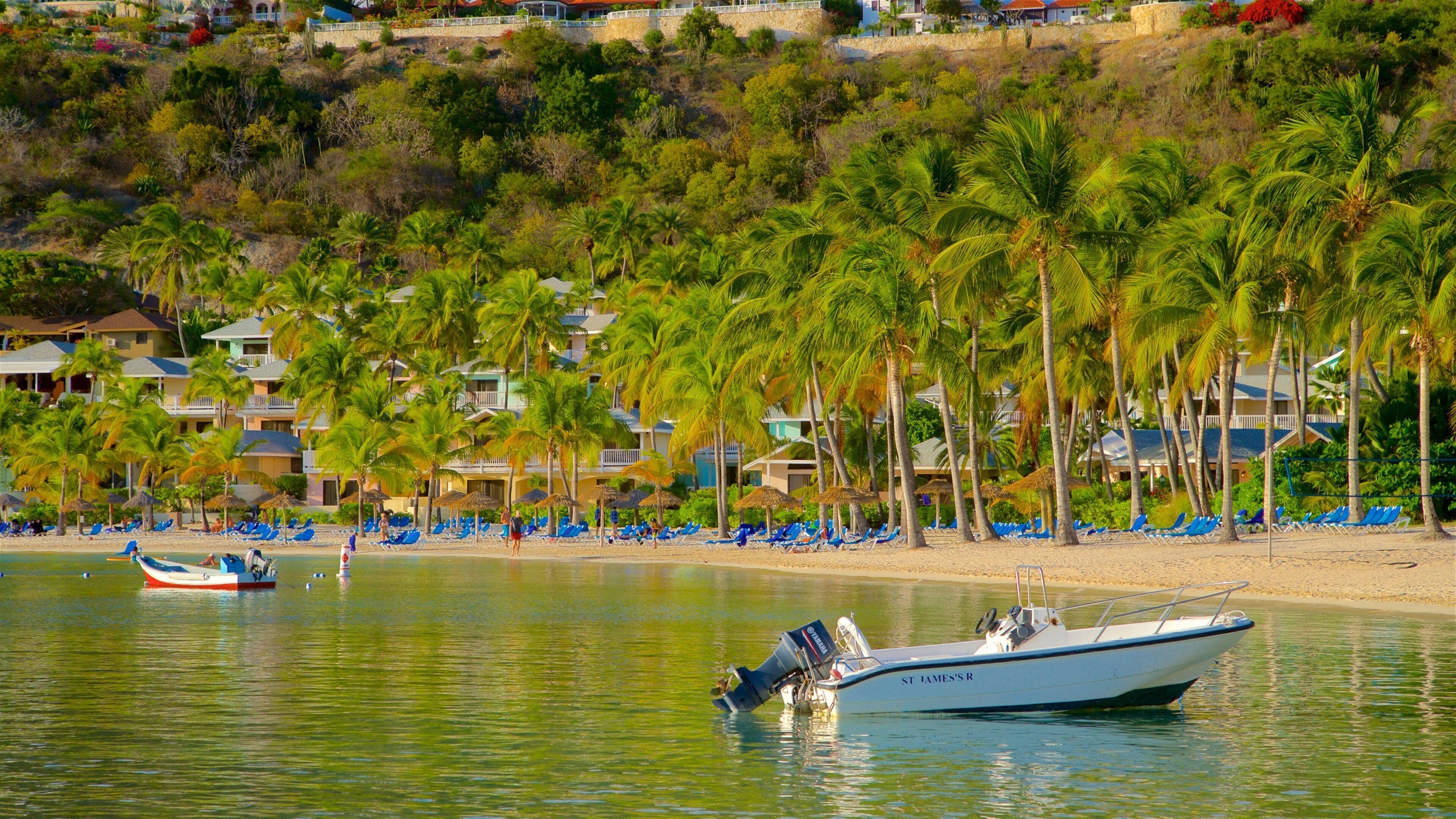 A beach with palm trees, a boat named ST JAMES'S R, and a row of blue chairs along the shore.