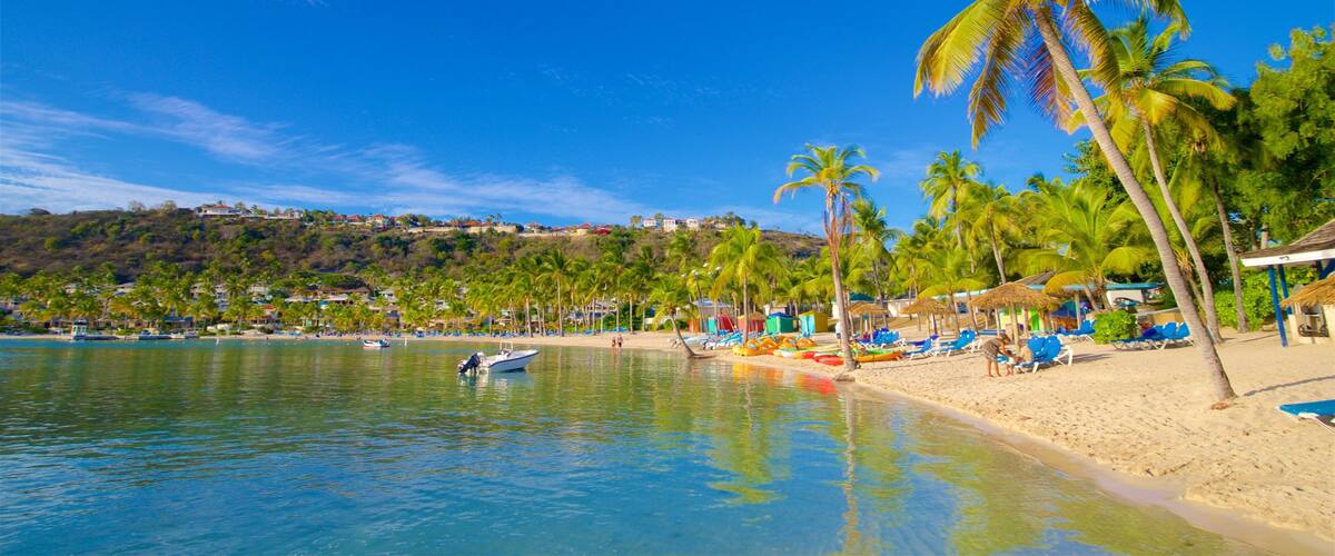 A beach with palm trees, clear blue water, and a distant hill with buildings.