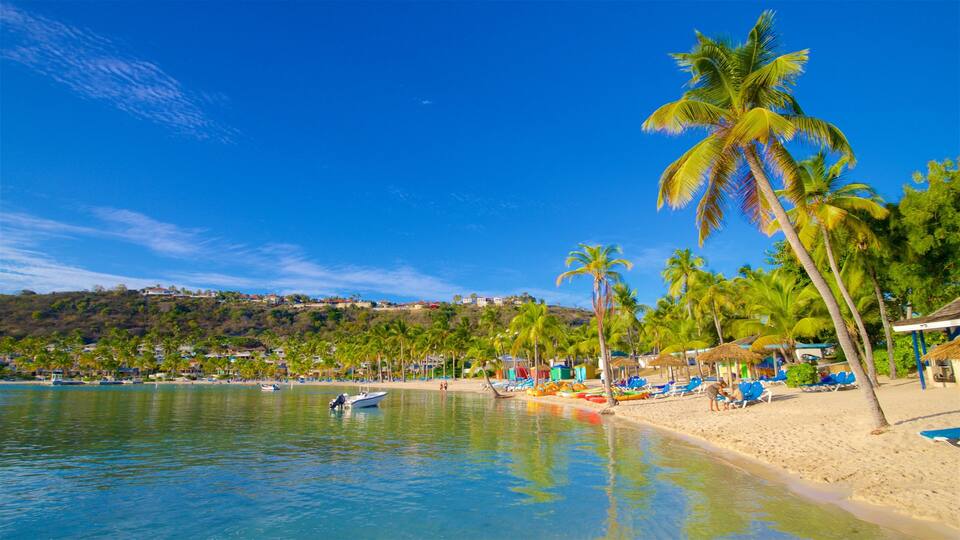 A beach with palm trees, clear blue water, and a distant hill with buildings.