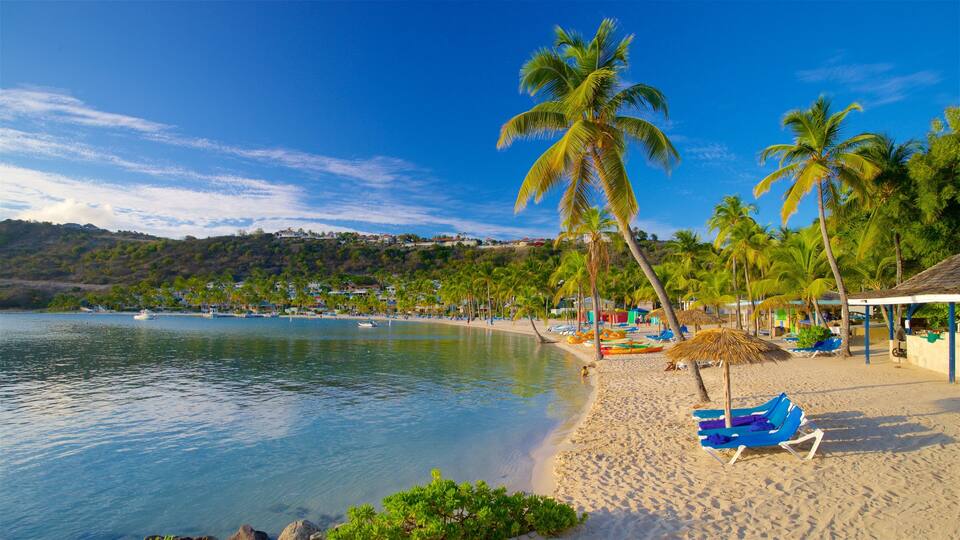 A tropical beach with clear blue water, palm trees, and beach chairs.