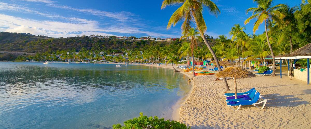 A tropical beach with clear blue water, palm trees, and beach chairs.