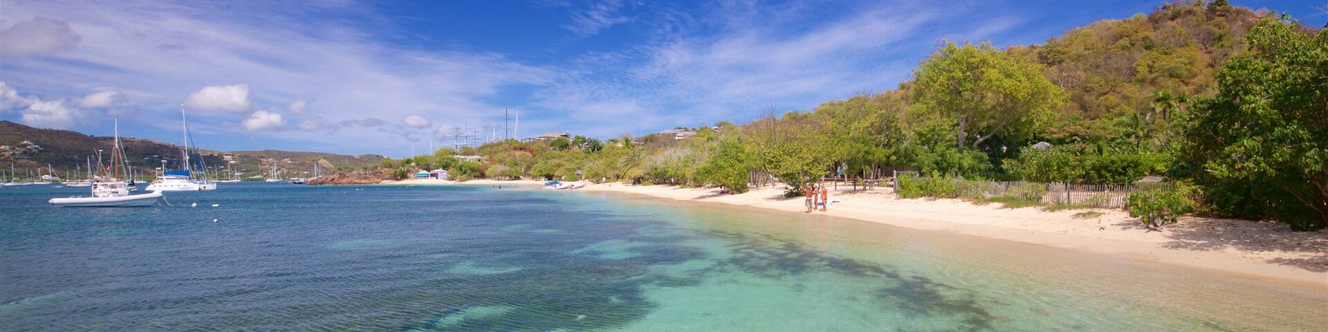 Pigeon\'s Point Beach featuring general coastal views and a beach