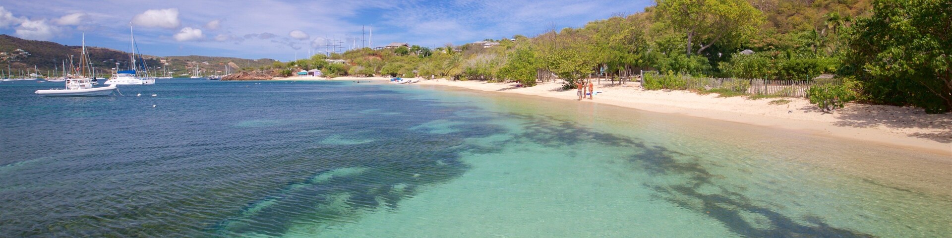 Plage de Pigeon\'s Point qui includes plage de sable et vues littorales
