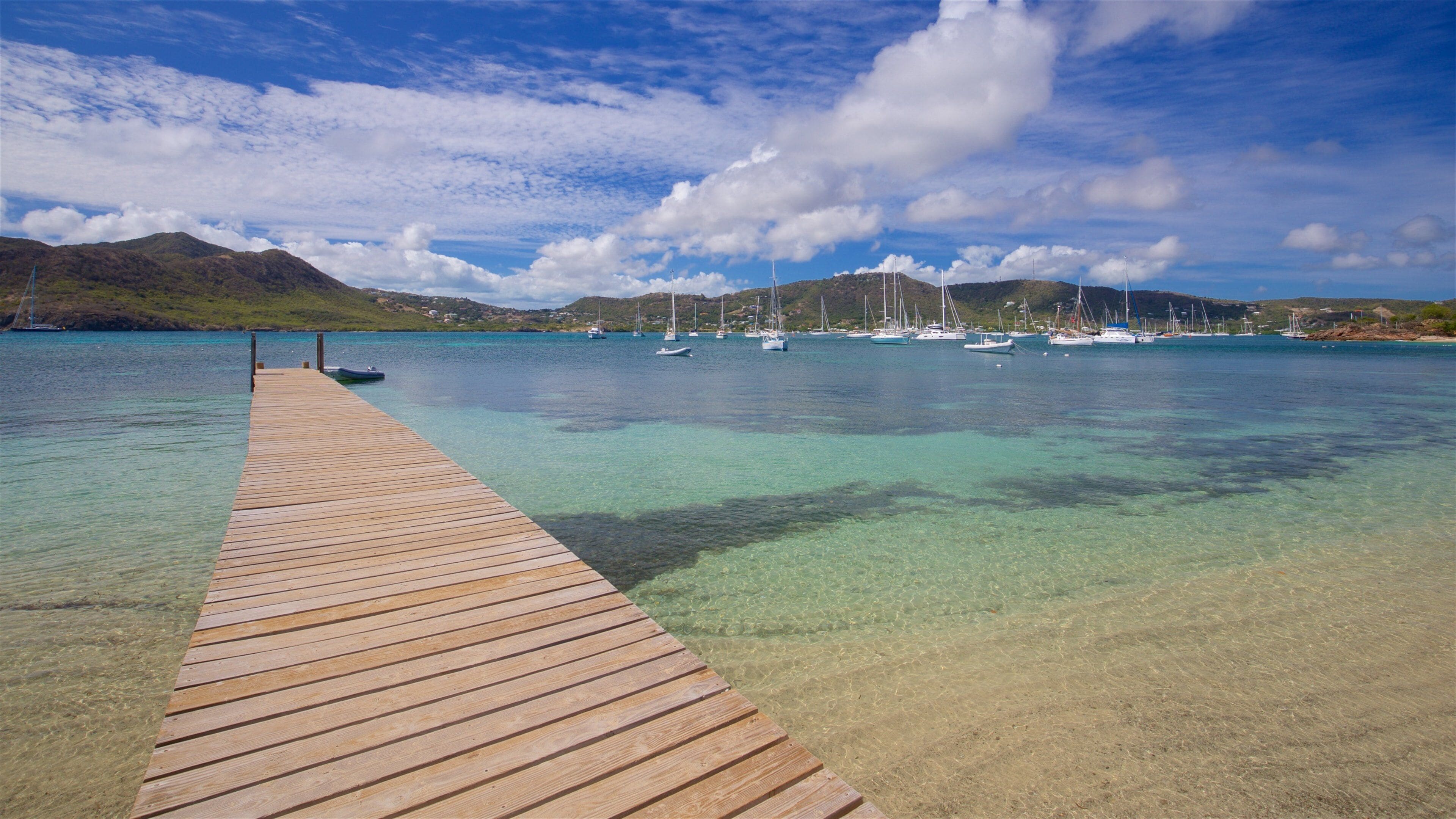 Pigeon\'s Point Beach which includes a bay or harbor
