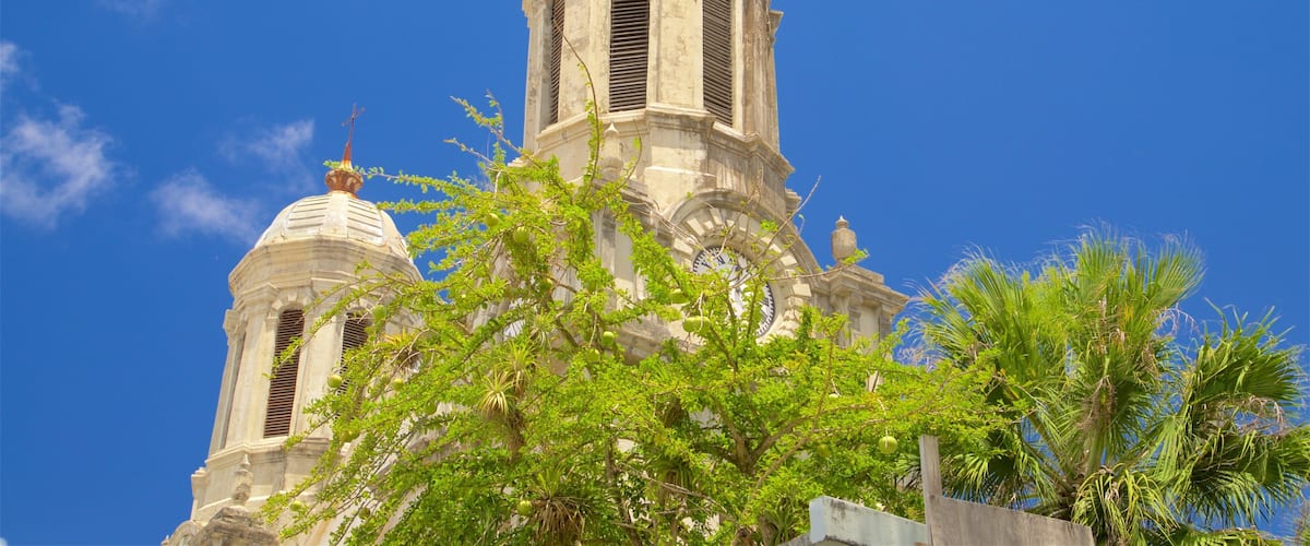 St. John\'s Cathedral featuring heritage elements