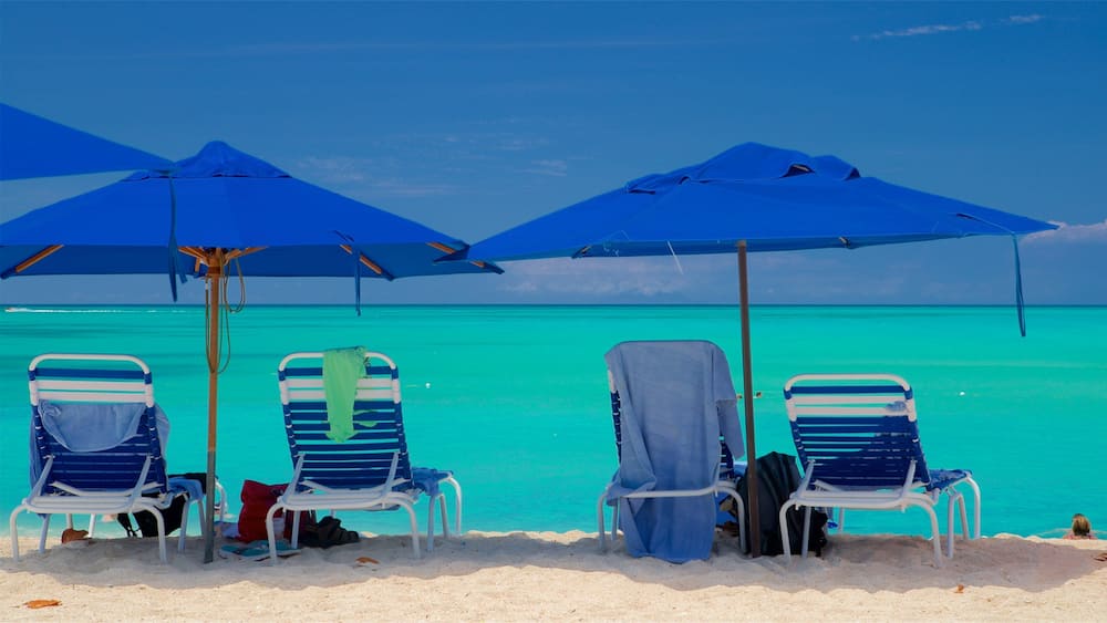 Valley Church Beach showing general coastal views, tropical scenes and a beach